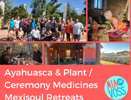 Ayahuasca & Ceremony Medicines at Mexisoul Retreats